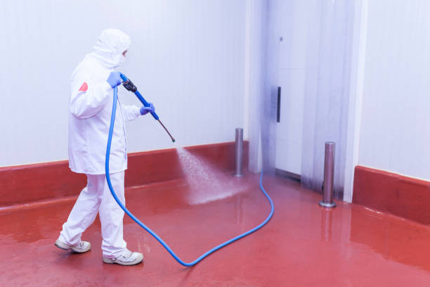 Professional Pressure Washing Services in Bohemia, NY