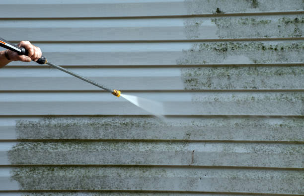 Best Building Exterior Washing  in Bohemia, NY