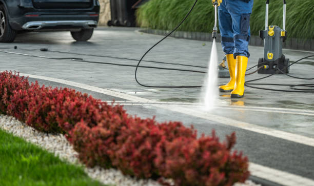 Best Building Exterior Washing  in Bohemia, NY